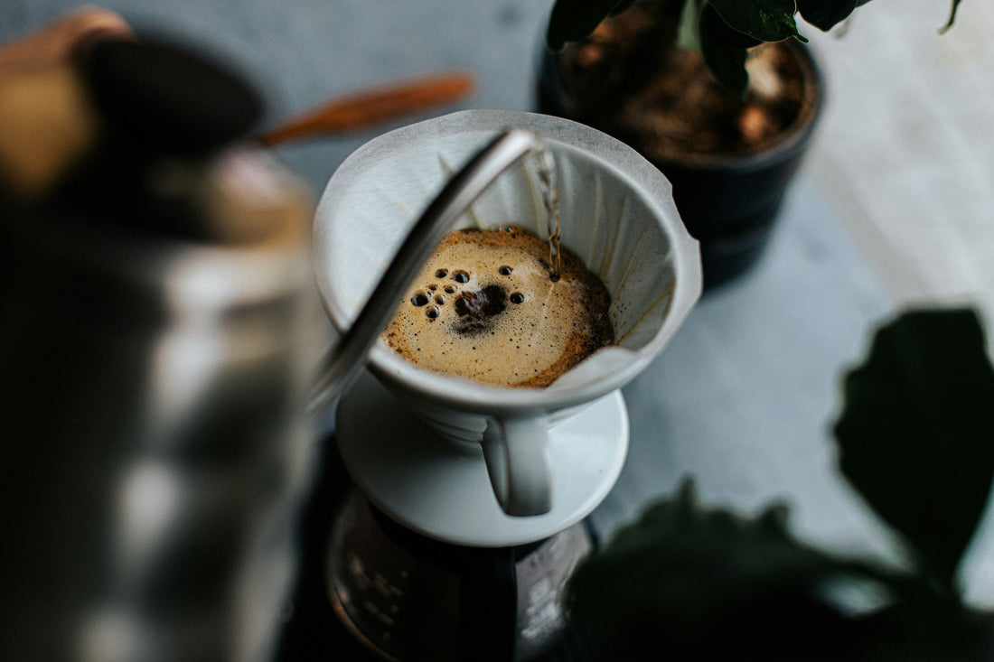 A white ceramic pour-over dripper with a bed of coffee blooming inside it.