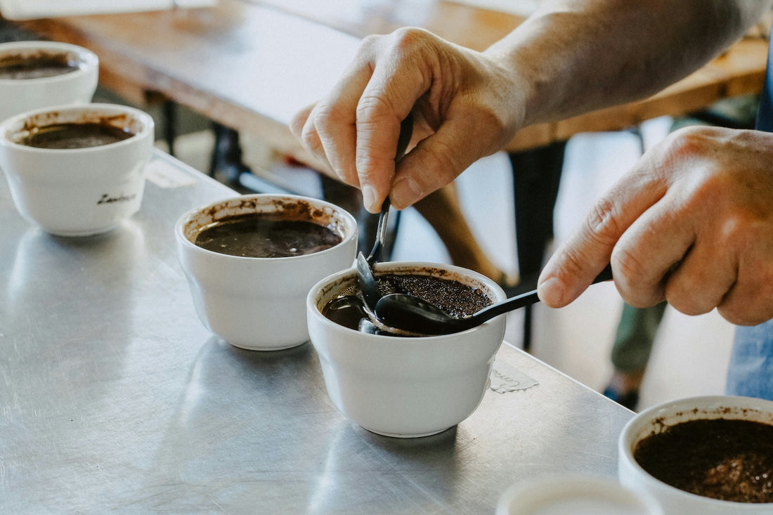 Hands lifting cupping spoons from white bowls of dark coffee at a tasting table.